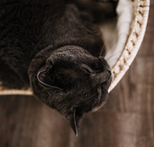 Laden Sie das Bild in den Galerie-Viewer, Katzenbett aus Palmblatt