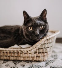 Laden Sie das Bild in den Galerie-Viewer, JenLiving Katzenbett aus Palmblatt