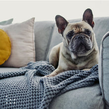 Laden Sie das Bild in den Galerie-Viewer, JUNALI® Polster- und Textilreiniger