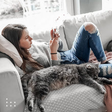 Laden Sie das Bild in den Galerie-Viewer, JUNALI® Polster- und Textilreiniger