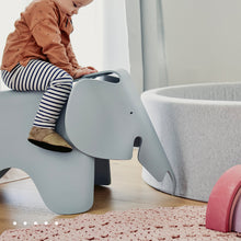 Laden Sie das Bild in den Galerie-Viewer, JUNALI® Universalreiniger Konzentrat 100