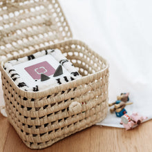 Laden Sie das Bild in den Galerie-Viewer, JenLiving® Aufbewahrungskoffer LEO