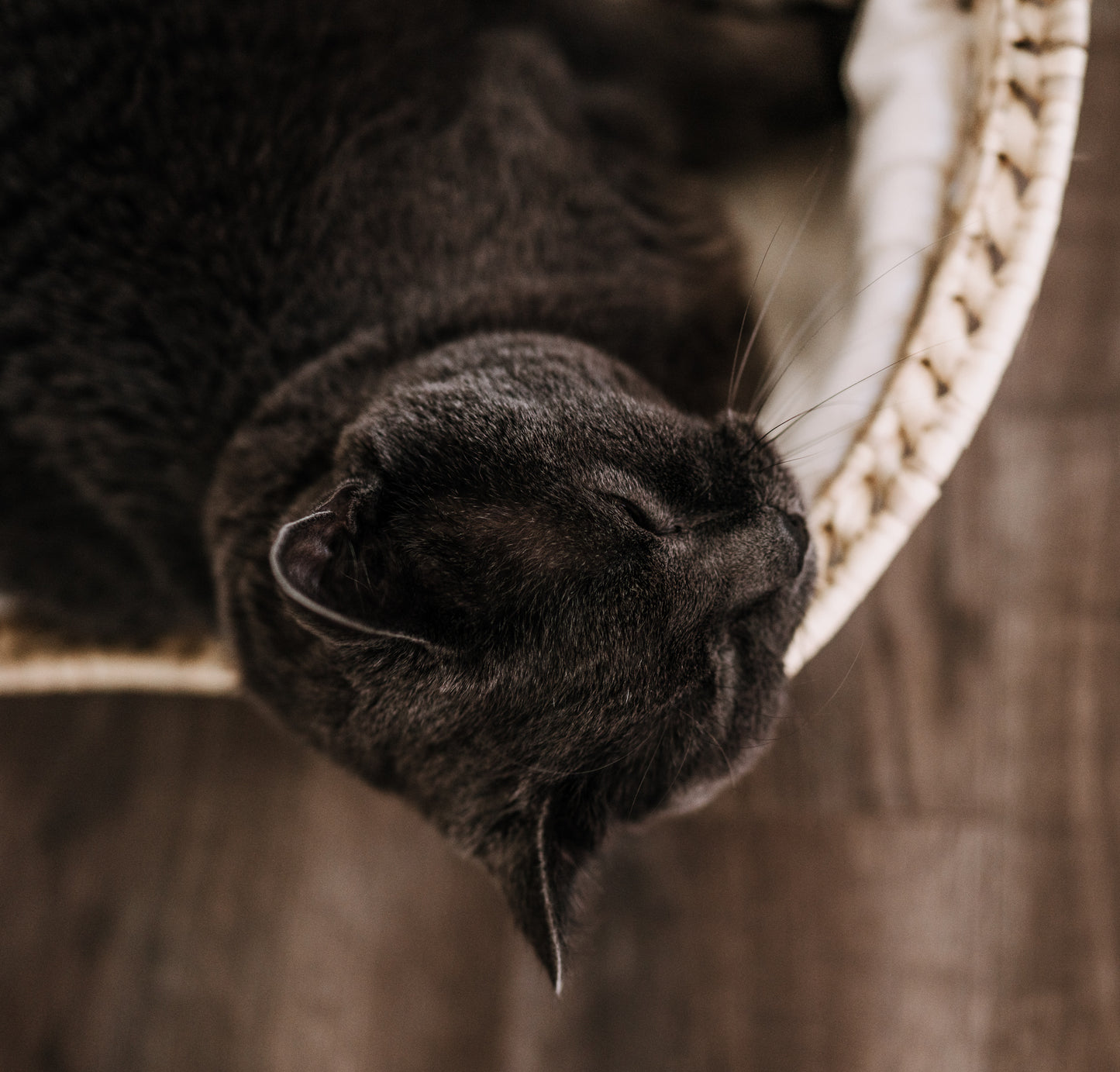 Katzenbett aus Palmblatt
