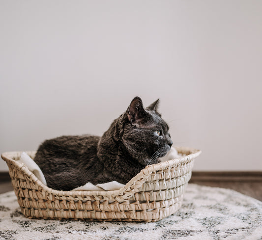 Katzenkorb, Katzenkörbchen von JenLiving