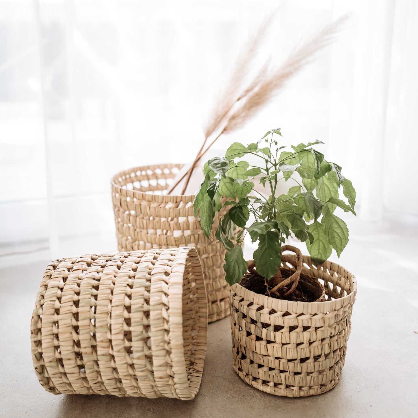 palm leaf basket, pflanzkörbe aus Palmblatt 